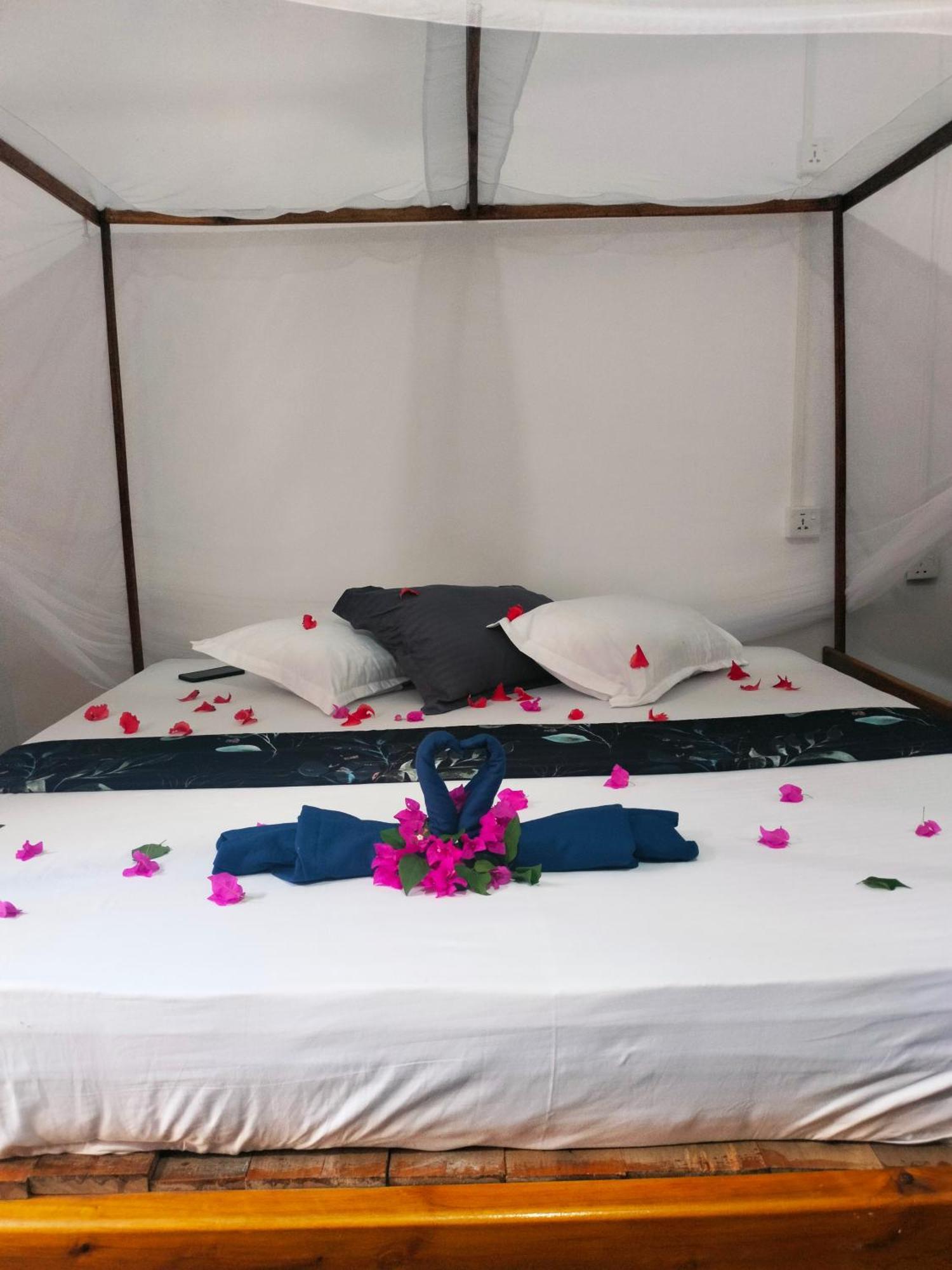 Auberge de jeunesse Costels Arugambay à Baie d'Arugam Chambre photo