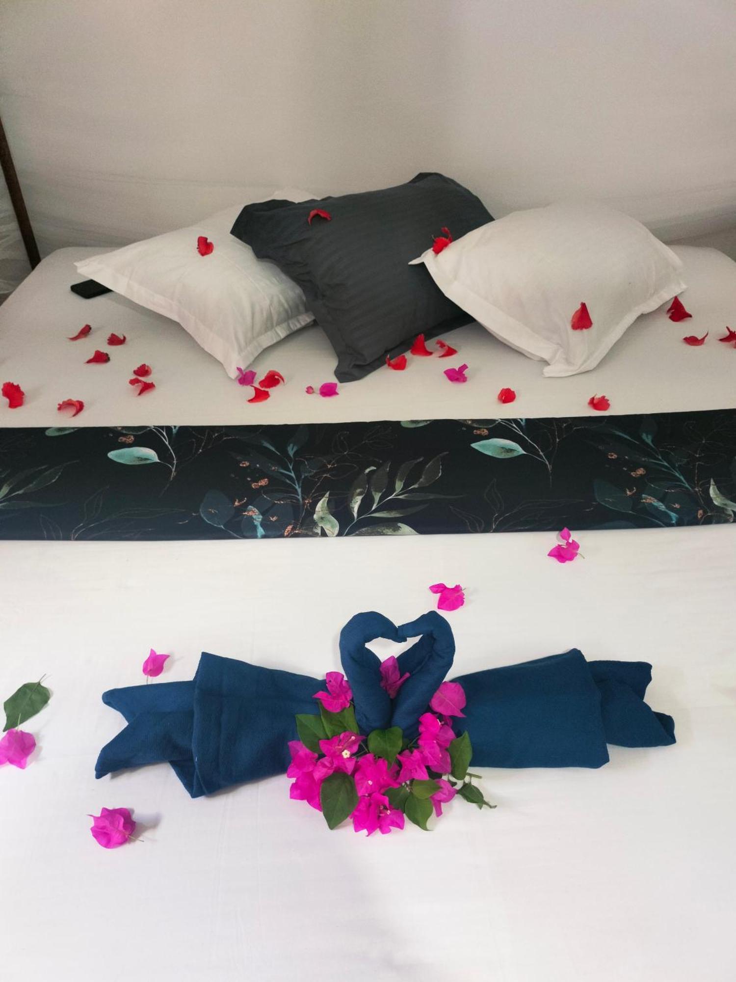 Auberge de jeunesse Costels Arugambay à Baie d'Arugam Chambre photo